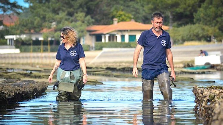 COUP DE CŒUR - Savourez l’huître d’Hossegor si « goûtue » !